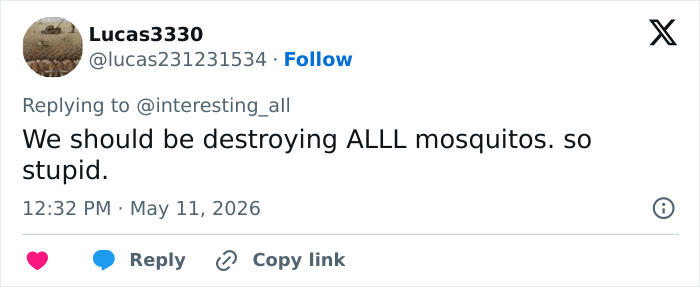 "Villain Origin Story": Bill Gates' 'Mutant' Mosquito Factory Goes Viral After People Learn What It's For
