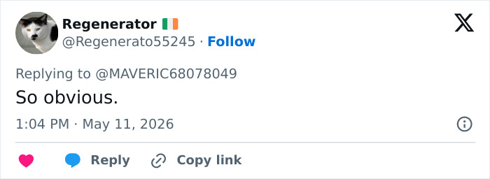 A screenshot of a social media post showing a reply that reads "So obvious." This relates to the Irina Shayk male body controversy. A screenshot of a social media post showing a reply that reads "So obvious." This relates to the Irina Shayk male body controversy.