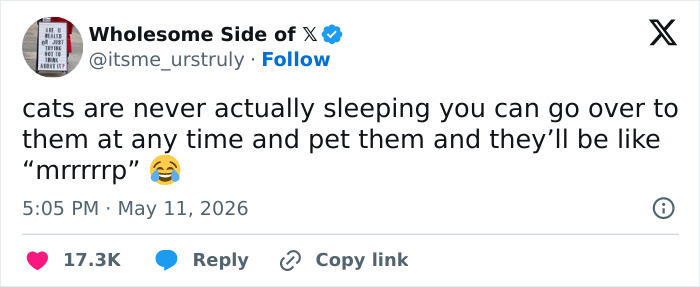 A funny tweet from Wholesome Side of X about emotionally manipulative cats saying mrrrrrp when pet, confirming cats are weird.