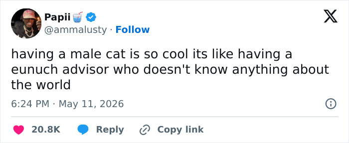 A tweet from Papi on May 11, 2026, comparing having a male cat to a eunuch advisor, highlighting cats are adorable and weird.