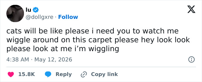 A funny tweet about cats saying, "please i need you to watch me wiggle around on this carpet please hey look look please look at me i'm wiggling." This highlights cats' adorable, weird, and emotionally manipulative nature.
