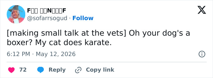 A funny tweet about a cat doing karate, highlighting how adorable and weird cats are.