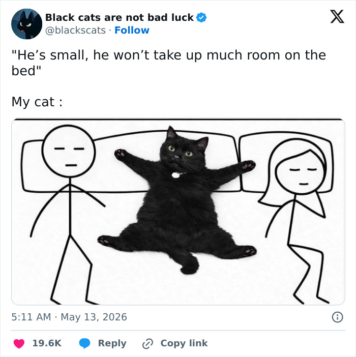 Funny tweets about a manipulative cat sprawled across a bed, leaving little room for stick figures.