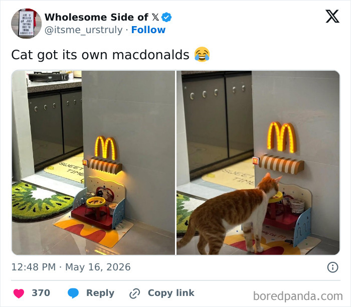 This Cat Pulling Up To Its Own Tiny Mcdonald’s For Dinner Is Taking Me Out