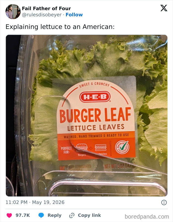 Funny-May-Tweets-2026