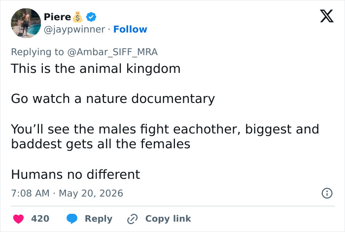 Tweet discussing animal kingdom and males fighting for females relating to human behavior Tweet discussing animal kingdom and males fighting for females relating to human behavior