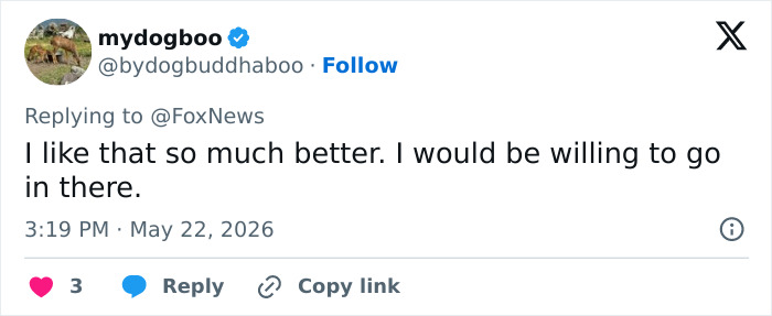Tweet expressing willingness to visit Hooters after family friendly rebrand Tweet expressing willingness to visit Hooters after family friendly rebrand