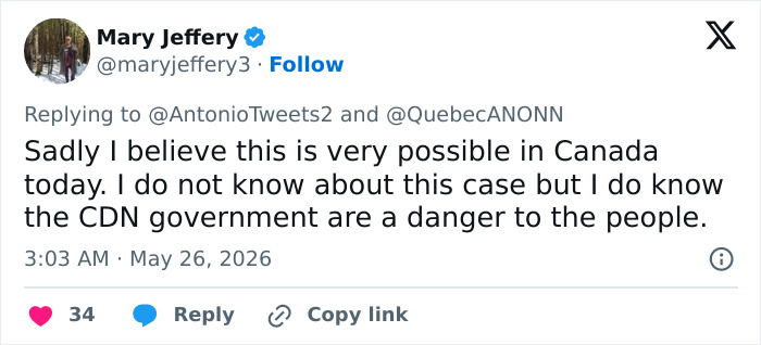Tweet expressing belief Canadian government is dangerous in medical kidnapping situation