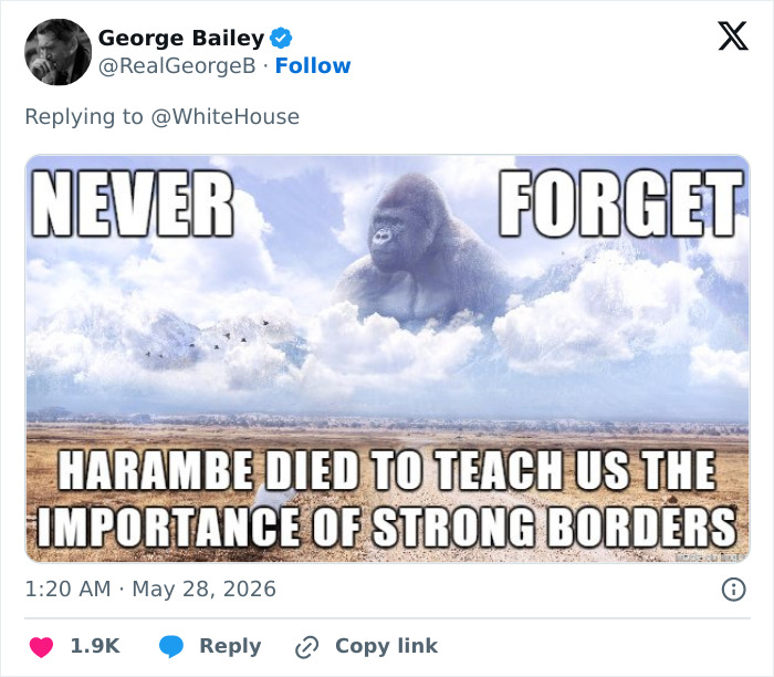 Gorilla Harambe in coffin holding Epstein files on 10th anniversary tribute