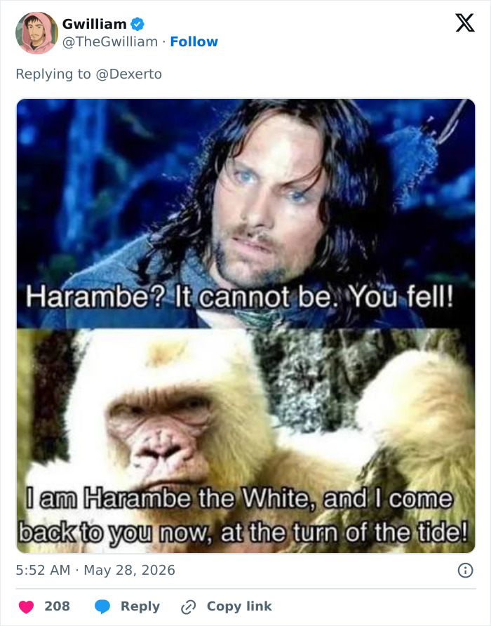 Harambe meme with fantasy theme of Harambe the White returning