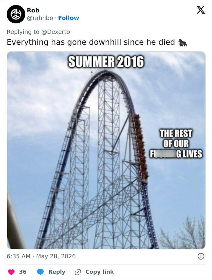 Rollercoaster meme showing downhill life since Harambe's d***h, summer 2016 reference