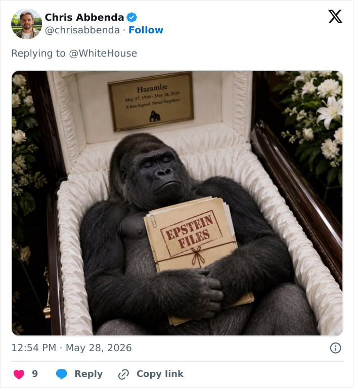 Harambe in casket holding Epstein files with memorial plaque