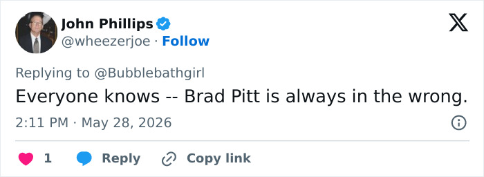 Comment stating Brad Pitt is always in the wrong in lawsuit