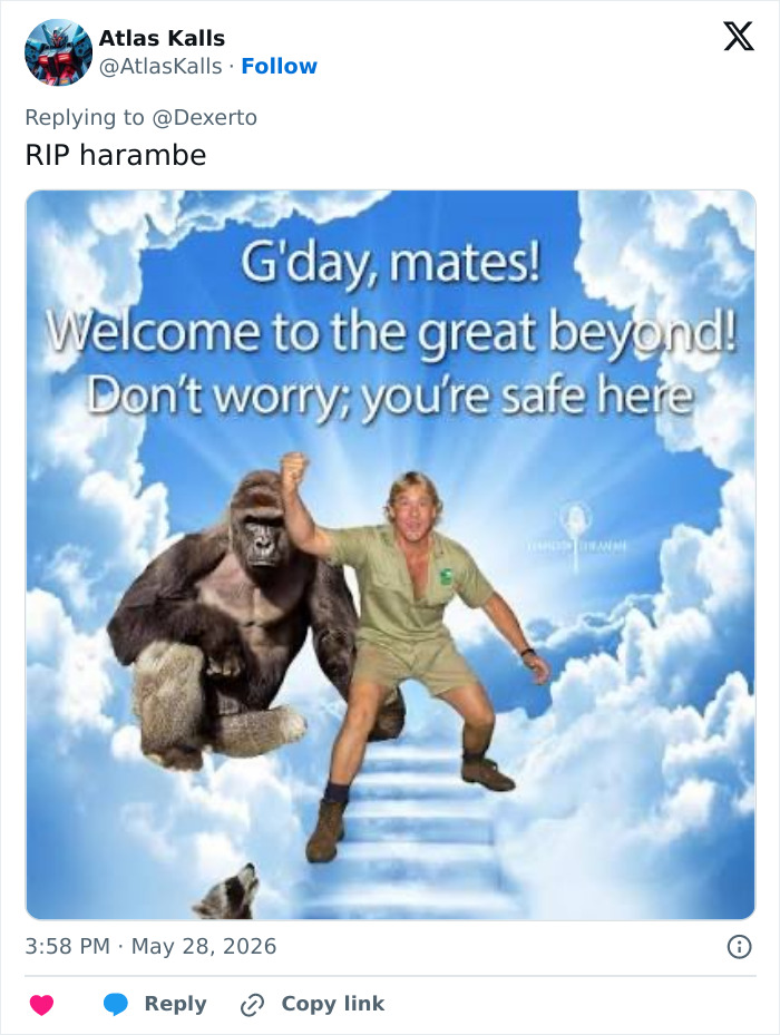 Twitter tribute image with Harambe and Steve Irwin in heaven welcoming message