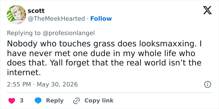 Tweet debating looksmaxxing and real world internet difference
