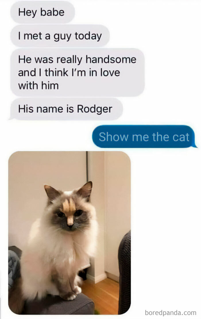 Text and image of a fluffy cat named Rodger in funny animal meme
