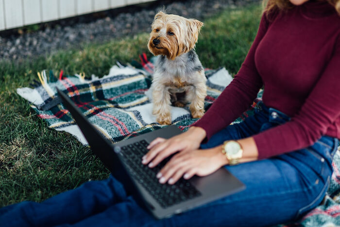 Person sitting on grass with laptop and small dog watching nearby