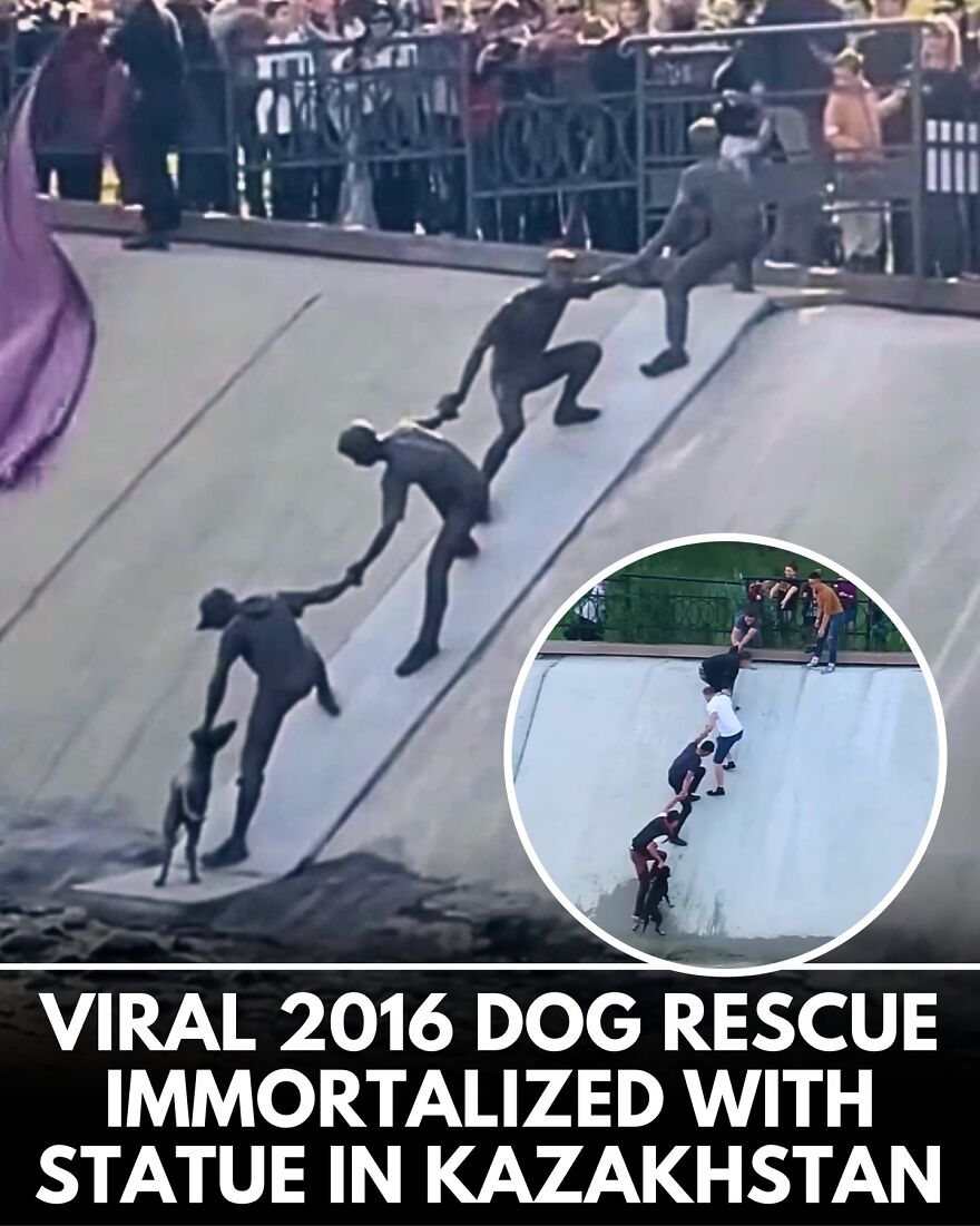 30 Heartwarming Dog Stories That Prove Kindness Still Exists In The World