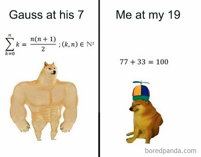Funny meme about math struggles. Gauss, a buff dog, solving complex math at 7. Me, a small dog with a propeller hat, solving simple addition at 19.