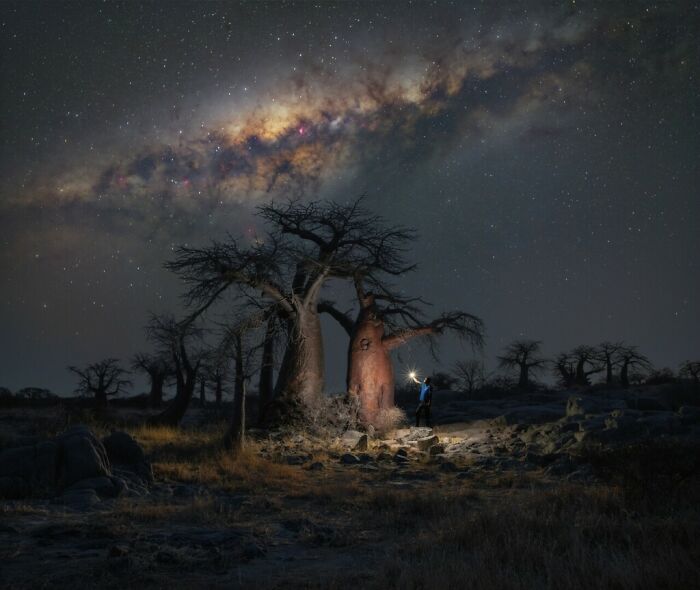 “Botswana Baobabs By Night” By Stefano Pellegrini