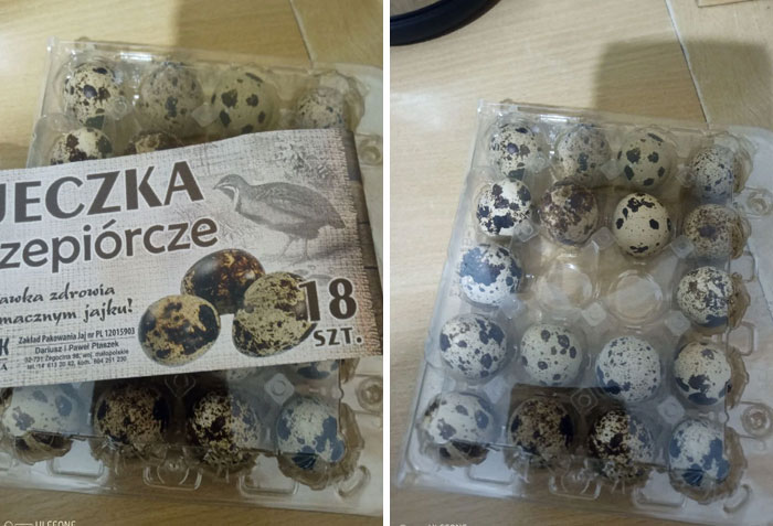 Quail egg carton with label partially covering eggs beside empty egg slots