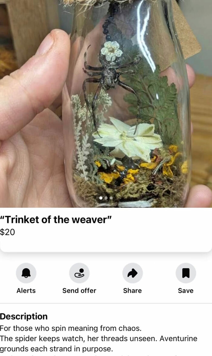 Spider trinket in glass bottle with preserved flowers Appalachian Mountain towns find