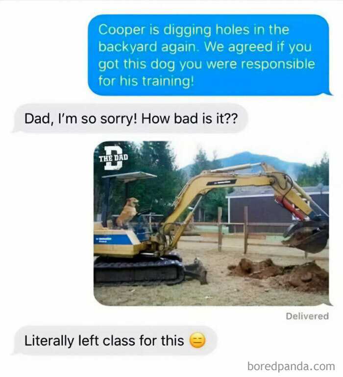 Text conversation meme with dog digging holes and construction equipment