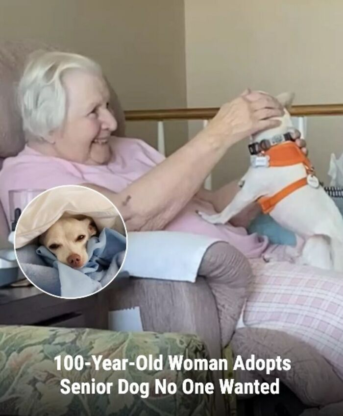 These Rescue Animal Stories From This Facebook Page Are Breaking Hearts And Restoring Faith In Humanity (31 Stories)