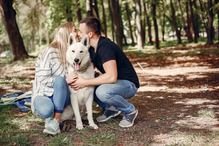 A couple playfully nuzzles a white dog in a park. This sweet moment captures love and is perfect for engagement stories.