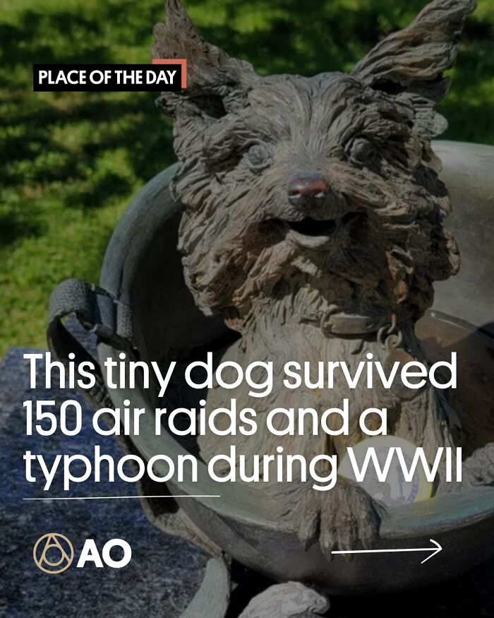 Smoky Yorkie Statue, Memorial Field, Valley Parkway, Lakewood, Ohio, United States