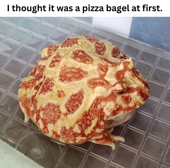 This Instagram Page With Over 700k Followers Shares The Internet’s Most Mind Bending Photos