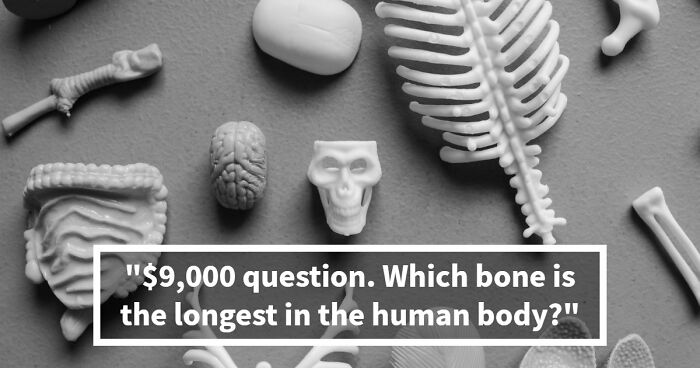 25 ‘Who Wants To Be A Millionaire’ Questions That Start Easy, And Then Get Brutal