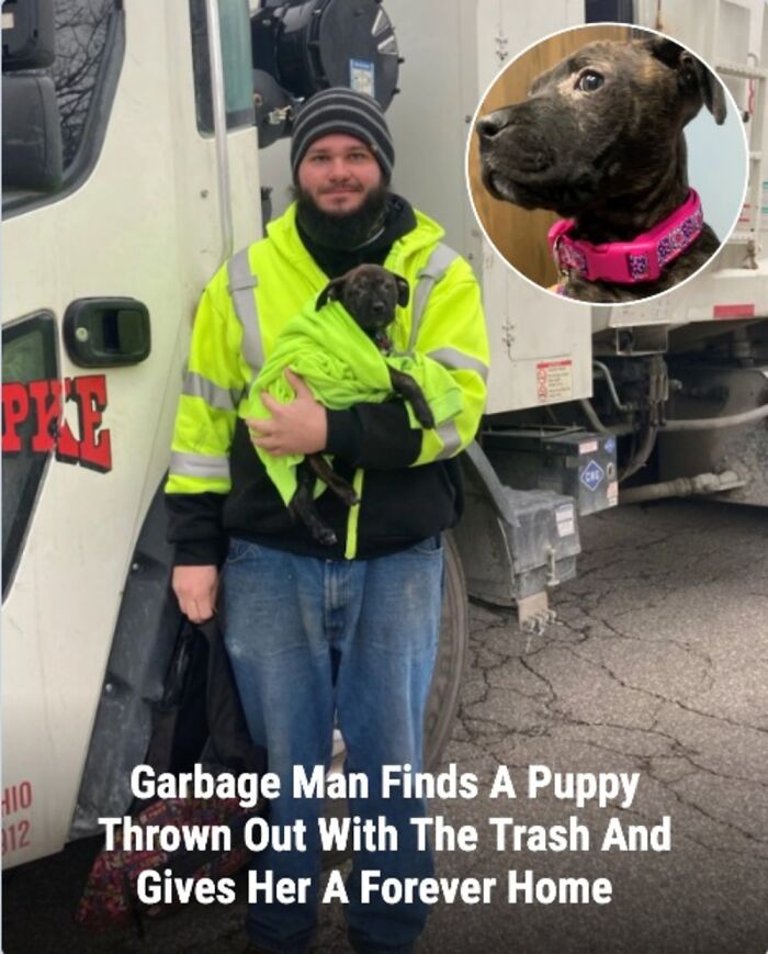 These Rescue Animal Stories From This Facebook Page Are Breaking Hearts And Restoring Faith In Humanity (31 Stories)