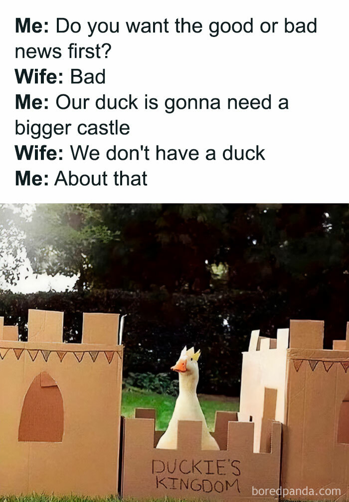 Duck in cardboard castle labeled Duckie's Kingdom funny meme