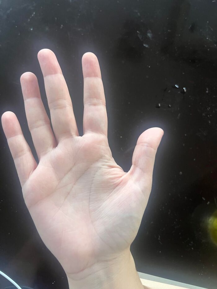 Close-up of palm facing camera against dark background