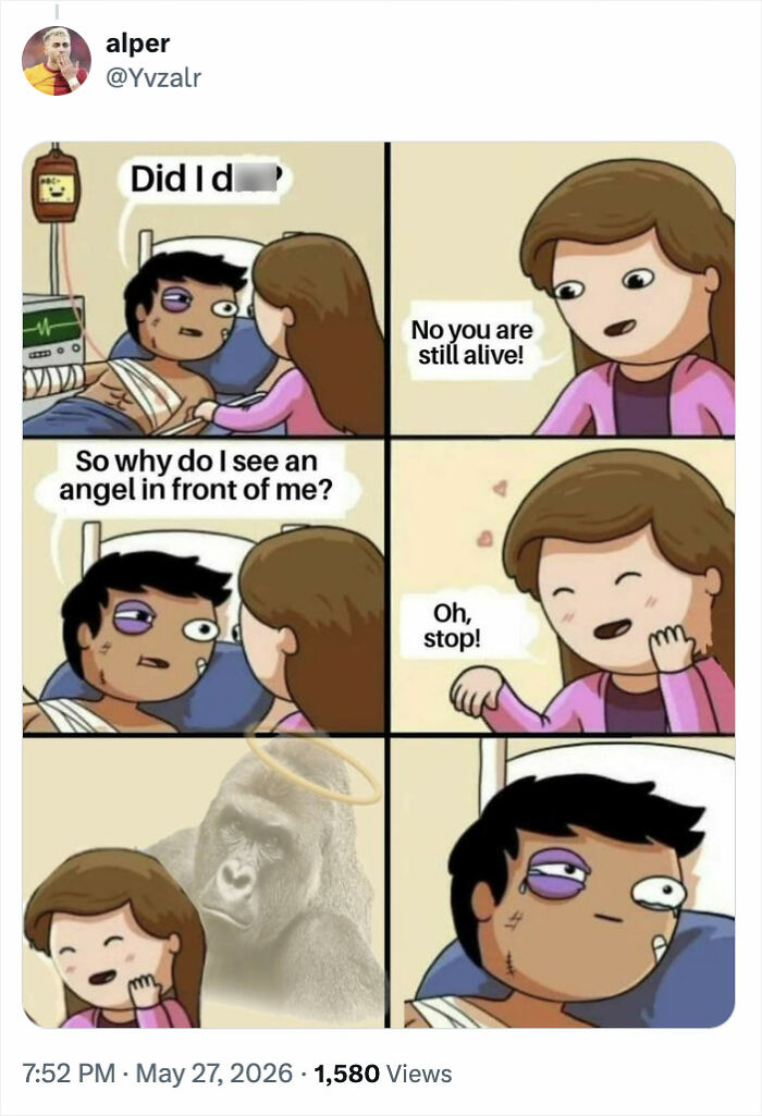 Comic strip with cartoon characters referencing Harambe as an angel in hospital scene