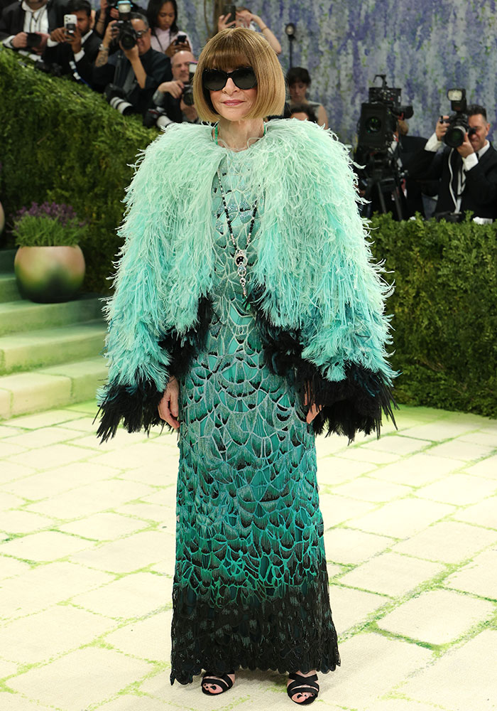 Anna Wintour in a feathered teal and black gown and matching jacket. Worst dressed stars at Met Gala 2026.