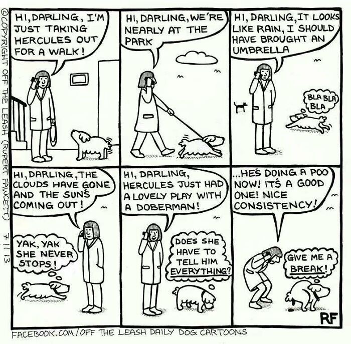 A Walk And A Talk