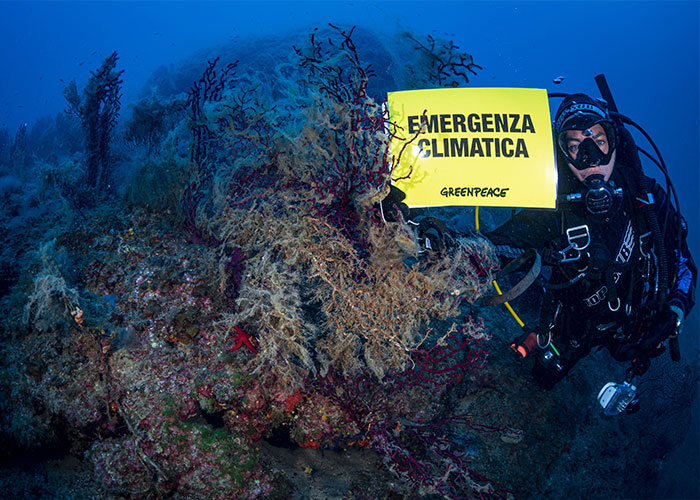 Scuba diver underwater near coral reef holding Greenpeace climate emergency sign