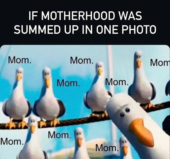 Motherhood meme with seagulls repeatedly saying mom representing funny mom memes
