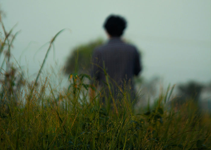 Person mysteriously vanishing in a field with tall grass and blurred background