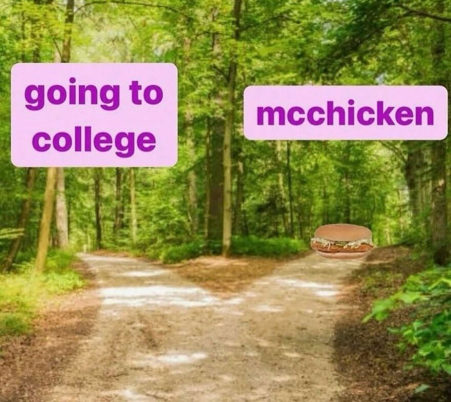 Fork in the road sign labeled going to college or mcchicken in unhinged posts