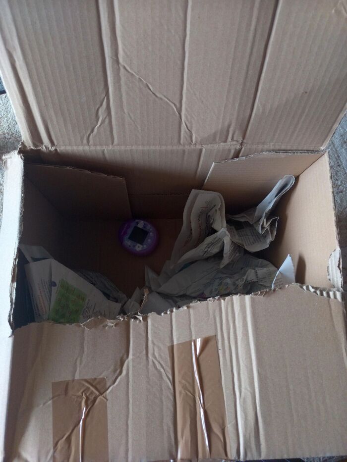 Empty torn cardboard box with crumpled paper and small toy inside