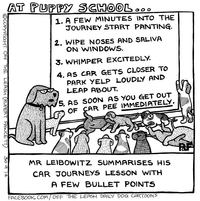 At Puppy School - Car Journey Planning