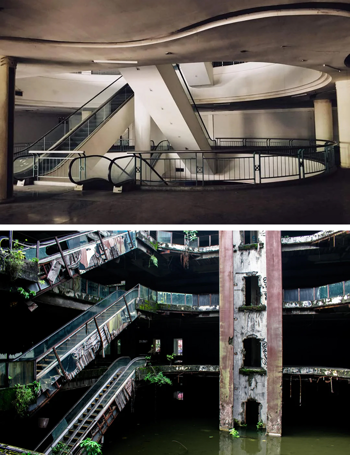 Abandoned indoor escalators in landmark reclaimed by nature