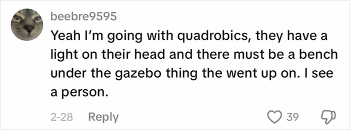 A social media comment from user beebre9595 with a cat profile picture, discussing what the viral video creature is. A social media comment from user beebre9595 with a cat profile picture, discussing what the viral video creature is.