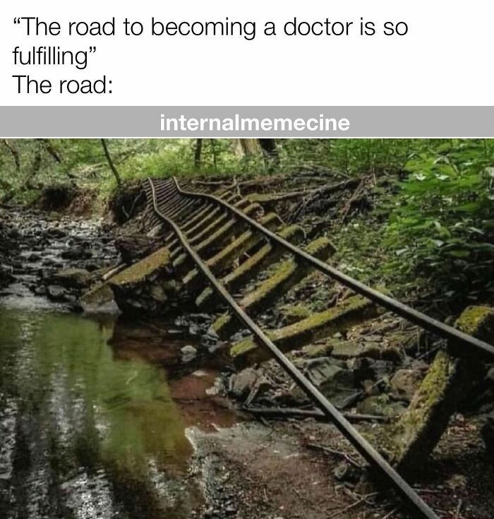 Medical meme showing a broken, overgrown train track over a stream, representing the hard journey to become a doctor.