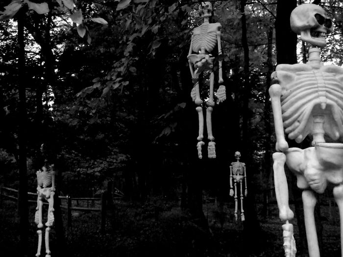 Hanging skeleton decorations in a dark wooded area creating Backrooms vibe