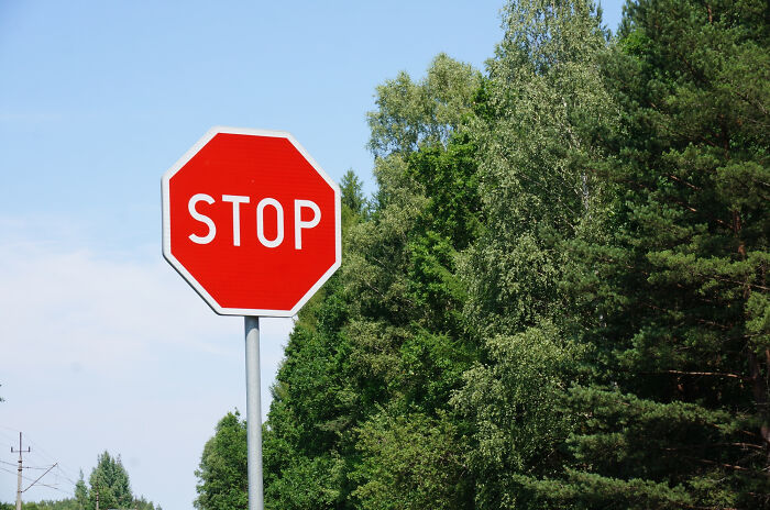 Red octagonal stop sign near green forest on clear sky day