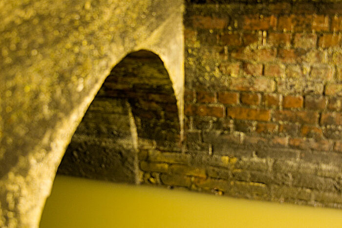 Flooded abandoned building filled with fish representing 50 backrooms levels